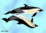  2005 animal_genitalia cetacean common_dolphin dolphin duo erection female feral male mammal marine nude phinna sex simple_background whale 