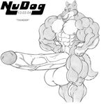  anthro balls canine erection huge_penis hyper male mammal muscular nude nudog penis solo vein 