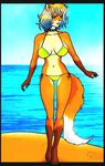 a.b._lust anthro beach bikini clothing elise_(greyhunter) female fur happy jewelry necklace seaside smile solo swimsuit 