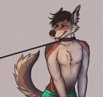  anthro bdsm belly bondage bound canine clothed clothing collar digital_media_(artwork) dog fur gumowedildo hair leash male mammal manly muscular pecs simple_background smile solo teeth tongue tongue_out topless underwear 