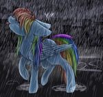  blue_feathers blue_fur building cutie_mark equine eyes_closed feathered_wings feathers female feral friendship_is_magic fur hair horse mammal multicolored_hair multicolored_tail my_little_pony ognevitsa_(artist) pegasus pony puddle rainbow_dash_(mlp) rainbow_hair raining raised_leg signature solo thunder tongue wings 