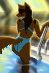  2018 anthro brown_fur brown_hair butt canine climbing clothing female fur hair hi_res inside mammal solo swimming_pool swimsuit ulrich-ironpaw water wet wolf 