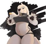 2016 5_fingers abstract_background absurd_res amber_eyes anthro bangs black_nose brown_nose canine claws clothing collar dog ear_piercing family_guy fent floppy_ears fur girly hair hi_res jasper_(family_guy) kneeling male mammal midriff navel paws piercing shirt slightly_chubby smile solo tank_top thick_thighs underwear white_fur white_hair 