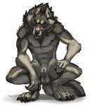  2016 animal_genitalia balls canine crouching fangs licking male mammal sayuncle sheath simple_background solo tongue tongue_out were werewolf yellow_eyes 