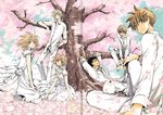  2girls 4boys absurdres against_tree black_hair blonde_hair brown_eyes brown_hair cherry_blossoms clamp fay_d_flourite highres kurogane_(tsubasa_chronicle) li_&quot;xiaolang&quot; looking_at_viewer lying mokona multiple_boys multiple_girls on_back outdoors sakura_hime short_eyebrows sitting smile tree tsubasa_chronicle xiaolang 