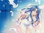  chidori_kaname full_metal_panic tagme 