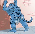  anthro balls big_butt blush butt colored erection feline looking_at_viewer male mammal muscular nude penis presenting presenting_hindquarters simple_background solo tiger ujishiyo 
