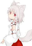  ahoge akasabi animal_ears bare_shoulders detached_sleeves hair_over_one_eye highres inubashiri_momiji looking_at_viewer looking_back pom_pom_(clothes) red_eyes ribbon-trimmed_sleeves ribbon_trim short_hair silver_hair solo tail touhou wolf_ears wolf_tail 