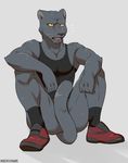  anthro bottomless clothed clothing colored covering covering_self feline kemo_nuko male mammal panther shirt simple_background solo white_background 