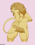  ? anthro butt colored feline kemo_nuko lion looking_at_viewer male mammal muscular nude pink_background presenting presenting_hindquarters simple_background solo 