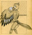 anthro avian beach_volleyball beak bird butt clothed clothing eurasian_jay feathered_wings feathers furgonomics holding_object jay_(bird) looking_at_viewer male monochrome pencil_(artwork) penis_outline rear_view solo speedo standing swimsuit topless traditional_media_(artwork) tush winged_arms wings 