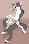  2016 african_wild_dog anthro anthro_on_feral balls bestiality blush canine duo eyes_closed female feral fur grey_fur hi_res knotting male male/female mammal nude penetration penis pussy sex toradoshi vaginal vaginal_penetration wolf 