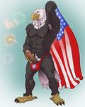  2016 4th_of_july abs anthro athletic avian badcoyote bald_eagle balls beak biceps bird brown_feathers claws eagle erection feathered_wings feathers firecracker fireworks flag front_view humanoid_penis male muscular nipples nude pecs penis retracted_foreskin simple_background solo standing stars_and_stripes talons toe_claws uncut united_states_of_america vein wings yellow_sclera 