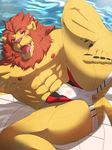  abs anthro anus bulge butt clothing colored feline jockstrap lion looking_at_viewer male mammal muscular pecs pool_(disambiguation) ragtouran simple_background solo underwear water 