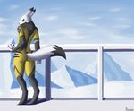  2016 alternate_costume anthro bodysuit butt canine clothing d.va_(overwatch) digimon fur male mammal mountain overwatch raised_tail renabu renamon skinsuit snow solo standing tight_clothing video_games 