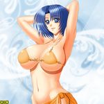  bikini blue_eyes blue_hair breasts large_breasts omc smile 