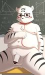  balls black_fur blush brown_eyes censored collar cub eyewear feline flaccid fur glasses humanoid_penis leash male mammal navel nipples obese overweight partially_retracted_foreskin penis solo text tiger uncut white_fur young 萌の傻蛋熊 