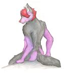  black_fur canine dog fur hair husky male mammal nude pressure purple_fur red_hair simple_background unknown_artist white_background 