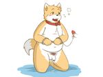  blush canine circumcised collar cub disembodied_penis drunk erection flaccid fox handcuffs humanoid_penis kneeling leash male male/male mammal navel obese open_mouth overweight partially_retracted_foreskin penis petplay precum pubes roleplay shackles simple_background uncut young 