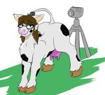  bovine camera cattle cowdevon eyewear female glasses mammal milkmaker 