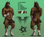 2014 abs animal_genitalia animal_penis anthro balls biceps black_penis brown_fur brown_hair clydesdale digital_media_(artwork) draft_horse english_text equine equine_penis fur green_background hair half-erect hand_on_hip hooves horse looking_at_viewer male mammal medial_ring model_sheet multicolored_fur muscular muscular_male navel nipples nude pecs penis roman_basilius rov signature simple_background solo standing tattoo text two_tone_fur vein veiny_penis white_fur 