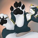  2016 4_toes anthro black_nose black_pawpads canine claws digital_media_(artwork) foot_focus fur hair inner_ear_fluff lying male mammal multicolored_fur nude on_back pawpads paws plantigrade simple_background skyler-the-fox smile solo sylen toe_claws toes white_fur white_hair wolf yellow_eyes yellow_fur 