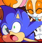  cloudz comic cream_the_rabbit dreamcastzx1 female hedgehog jumping lagomorph male mammal rabbit sonic_(series) sonic_the_hedgehog 