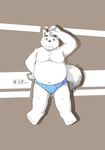  5_fingers 5_toes briefs bulge canine clothing fur looking_at_viewer male mammal moobs navel obese overweight simple_background solo standing toes underwear white_fur 布哥-boog_(artist) 