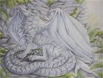  ambiguous_gender dragn feral grey_scales nude outside scales sidonie sitting solo tagme white_scales wings 