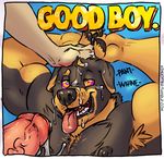  2016 animated anthro canine claws cum dog erection humanoid_penis kihu male male/male mammal muscular muscular_male nipples open_mouth pecs penis rottweiler tongue 