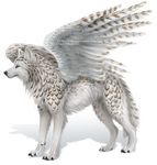  ambiguous_gender blue_eyes brown_fur canine feathers fur mammal sidonie simple_background solo standing tagme tamsin white_fur winged_wolf wings wolf 