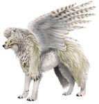  ambiguous_gender blue_eyes brown_fur canine feathers feral fur mammal paws sidonie solo standing tamsin tribal white_fur winged_wolf wings wolf 