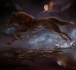  canine cloud detailed_background feral fluffy fur mammal moon night paws reflection running sidonie sky solo splash star water whiskers wolf 