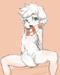  anthro arched_back canine covering covering_self cub dog full_frontal half-closed_eyes hands_behind_back hi_res kennen4 looking_at_viewer male mammal mostly_nude navel nipples panashe scarf sitting solo spread_legs spreading summon_night tail_between_legs tongue tongue_out young 