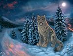 ambiguous_gender blue_eyes detailed detailed_background feline feral flashw fur leopard looking_at_viewer mammal moon night nude outside paws pink_nose sitting sky snow snow_leopard solo star white_fur winter 