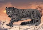  2012 ambiguous_gender feline flashw fur grey_fur mammal outside sky snow solo spots tagme winter yellow_eyes 