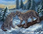  blue_eyes day duo eyes_closed feline feral flashw forest fur grey_fur leopard love mammal outside paws sitting sky snow snow_leopard spots standing tree winter 