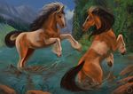  black-hair brown_eyes day duo equine flashw hair hooves horse mammal mane multicolored_hair outside splash tagme two_tone_hair water white_hair 