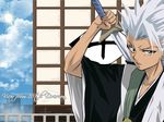  bleach hitsugaya_toushirou tagme 