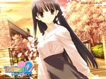  artist_request black_eyes black_hair building bush character_name copyright_name gate high-waist_skirt kusakabe_yuuki_(to_heart_2) long_hair long_sleeves looking_at_viewer outdoors petals skirt solo to_heart_2 tree tuxedo_shirt wall wallpaper 