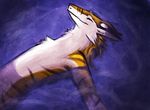  denotec male pool_(disambiguation) sergal steven_sergal stripes tiger_stripes 