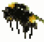  16bit arthropod bee feral insect real 