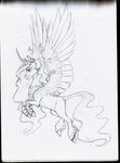  drawing equine feathers friendship_is_magic fur hooves horn luna68 mammal my_little_pony princess_celestia_(mlp) simple_background sketch tagme white_background winged_unicorn wings 