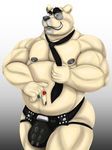  anthro bdsm bear begami belly biceps big_biceps black_nose blue_eyes bondage bondage_gear bound bulge clenched_teeth clothed clothing front_view fur hi_res holding_object looking_at_viewer male mammal manly mature_male muscular muscular_male necktie nipples pecs pointing pose ring simple_background solo standing teeth thong topless underwear westhoff white_fur 