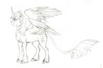  cutie_mark equine feathered_wings feathers female feral friendship_is_magic fur hooves horn horse luna68 mammal my_little_pony pony simple_background sketch solo white_background winged_unicorn wings 