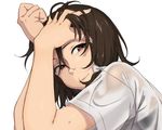  brown_eyes brown_hair closed_mouth face looking_to_the_side no_hat no_headwear portrait shirt short_hair short_sleeves simple_background smile solo touhou toujou_(toujou_ramen) usami_renko wet wet_clothes wet_hair wet_shirt white_background 