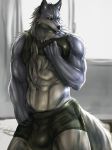  anthro bulge canid canine canis clothing fur hair inside looking_at_viewer male mammal muscular muscular_male solo standing tight_clothing wolf zex 