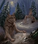  amber_eyes anthro black_nose blue_eyes breasts brown_fur canine day duo feline female feral flashw fur hair leopard looking_at_viewer male mammal nude outside paws pink_nose sky snow snow_leopard tan_fur winter wolf 