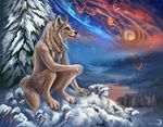  5_fingers amber_eyes anthro aura braided_hair canine detailed detailed_background female flashw fur hair long_hair mammal moon night nude outside sky snow solo toes white_fur white_hair winter wolf 