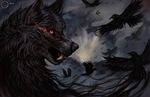  2014 barred_teeth black_fur black_nose canine crows dark_pallet detailed_background flashw fur group mammal orange_eyes outside tagme teeth wolf 